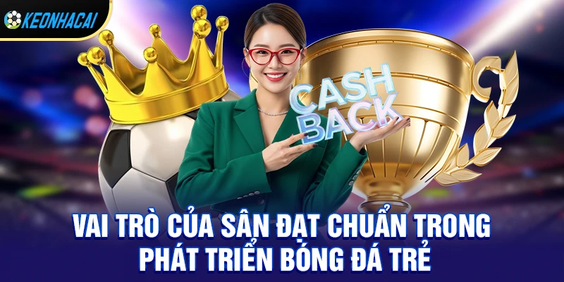Sân Bóng Chuẩn FIFA – Tiêu Chuẩn Quốc Tế Và Những Sân Đẹp Nhất Thế Giới