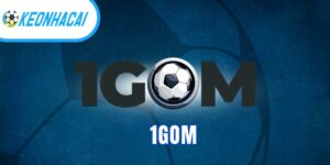 1gom - Trang web soi kèo, tỷ lệ nhà cái miễn phí siêu chuẩn