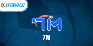 7m - Review web soi kèo bóng đá hot nhất thị trường cá cược