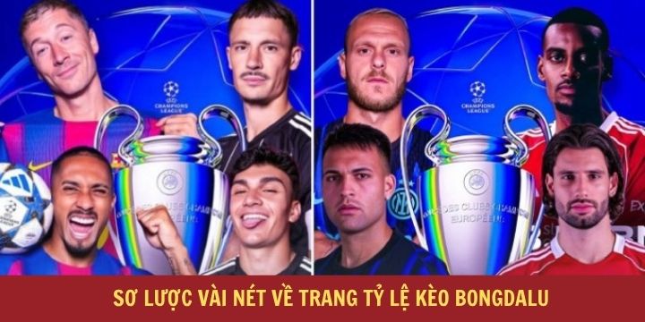 Bongdalu trải nghiệm kèo đấu dễ dàng và nhanh chóng
