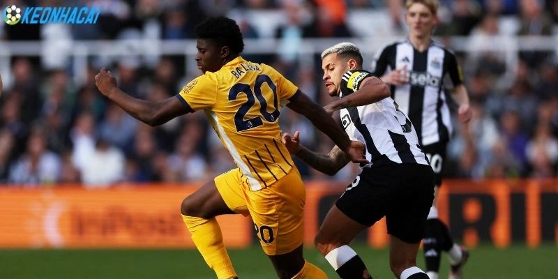 Tỷ lệ Kèo Nhà Cái Newcastle United Vs Brighton - NHA, 02/05/2026 1 Phong độ Newcastle United, Brighton gần đây