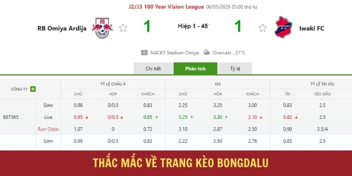 Giải đáp thắc mắc khi truy cập trang web bóng đá Bongdalu