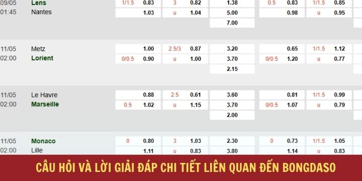 Bongdaso - Theo dõi và soi kèo bóng đá miễn phí 2026 6 Câu hỏi và lời giải đáp về Bongdaso bạn nên biết